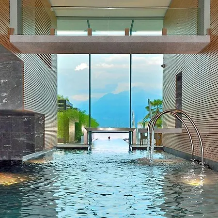 Camelia By Fewotessin *